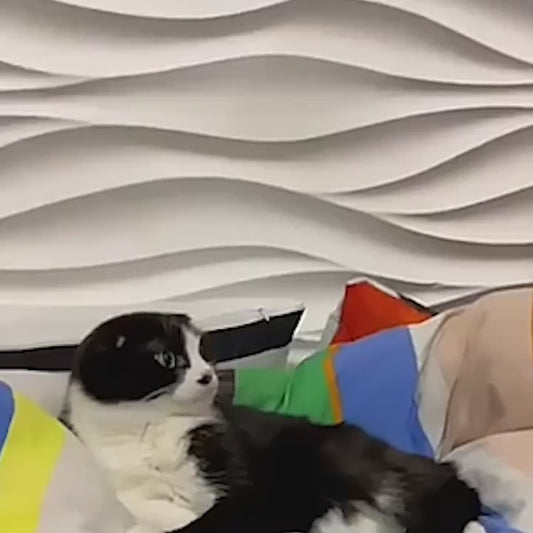 Saiveon Electric Cat Massager