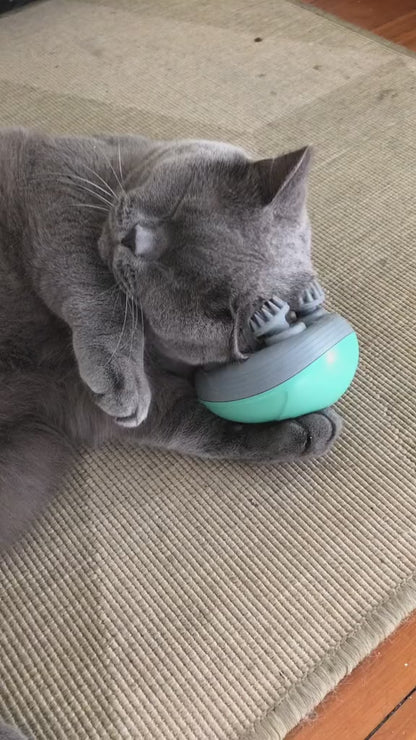 Saiveon Electric Cat Massager